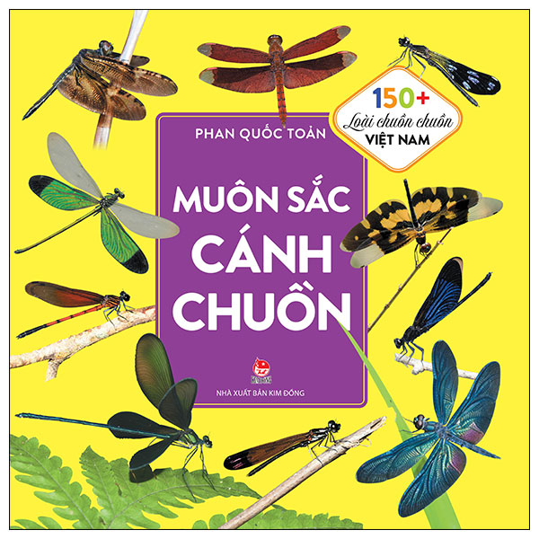 muôn sắc cánh chuồn - 150+ loài chuồn chuồn việt nam