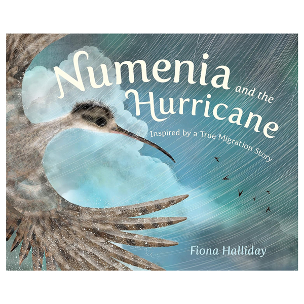 numeria and the hurricane - inspired by a true migration story