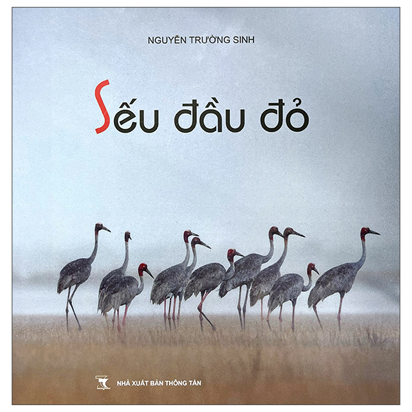 Seu Dau Do - Bia Cung