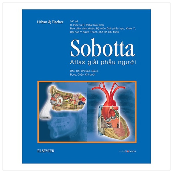 sobotta atlas giải phẫu người