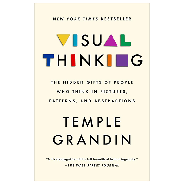 visual thinking