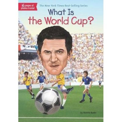 what is the world cup?